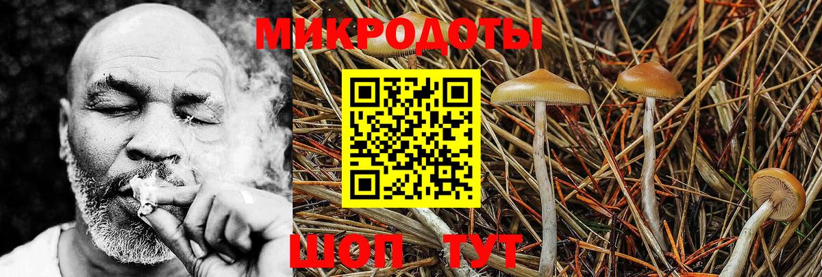 Галлюциногенные грибы Psilocybine cubensis  Галлюциногенные грибы MAGIC MUSHROOMS  Вход с VPN  как найти закладки  Донской 