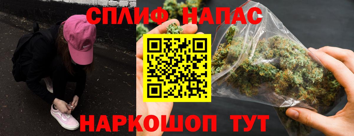Конопля гибрид Донской